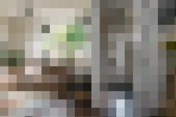Walstro 70 Sneek thumbnail 4