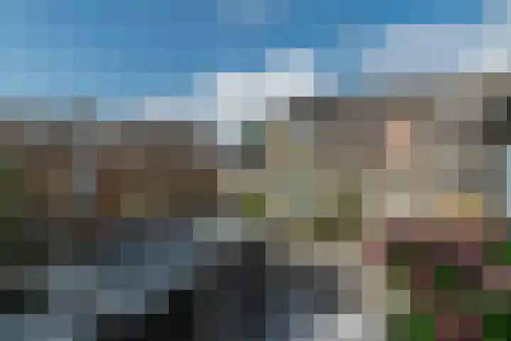Walstro 70 Sneek thumbnail 40