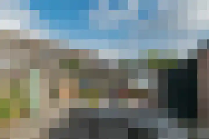 Walstro 70 Sneek thumbnail 41