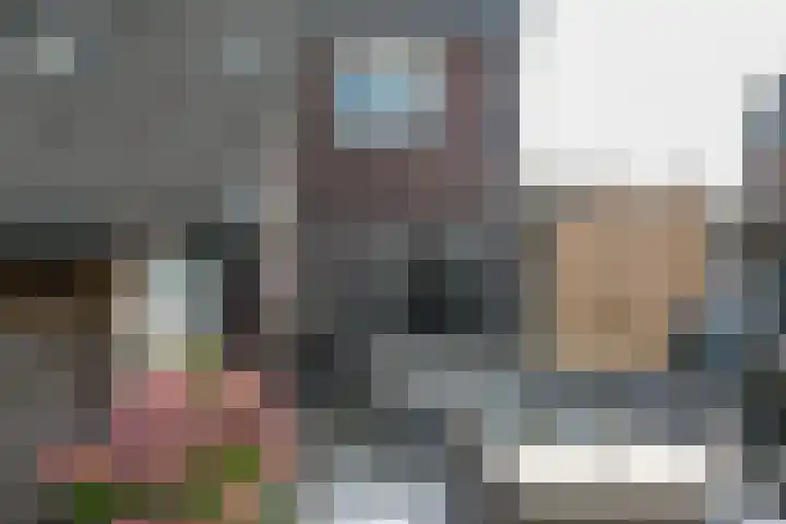 Walstro 70 Sneek thumbnail 42
