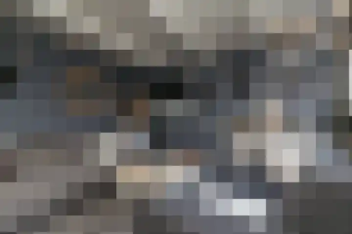 Walstro 70 Sneek thumbnail 45