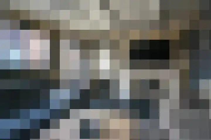 Walstro 70 Sneek thumbnail 46