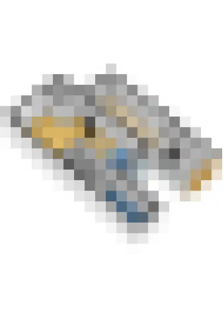 Walstro 70 Sneek thumbnail 48