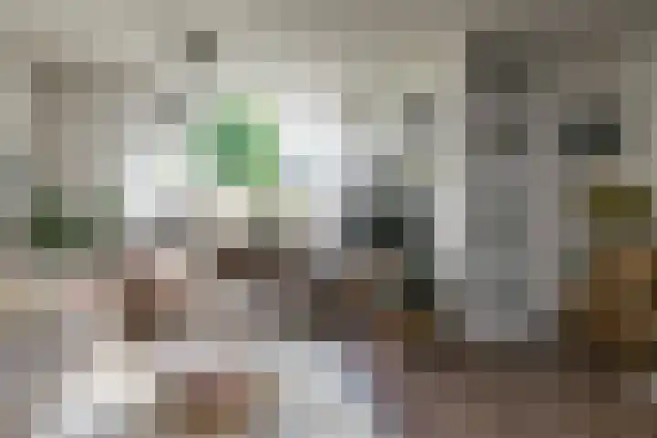Walstro 70 Sneek thumbnail 5