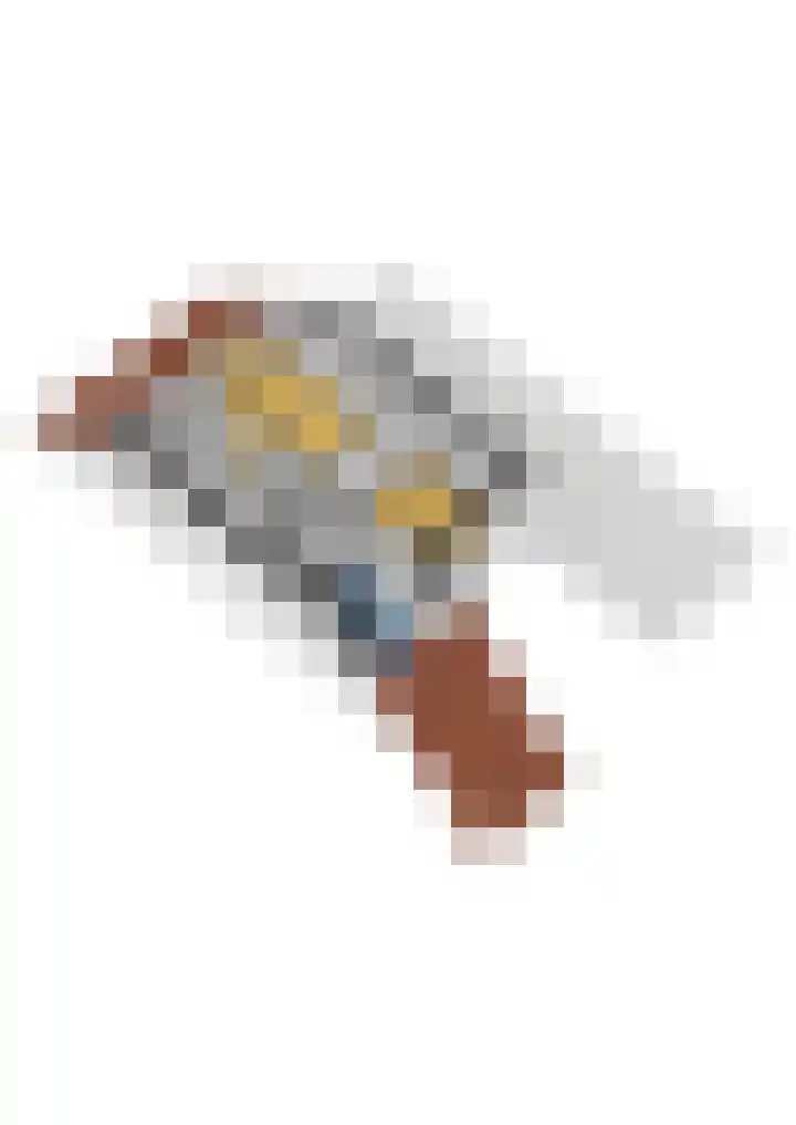 Walstro 70 Sneek thumbnail 50