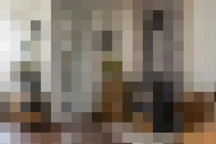 Walstro 70 Sneek thumbnail 6