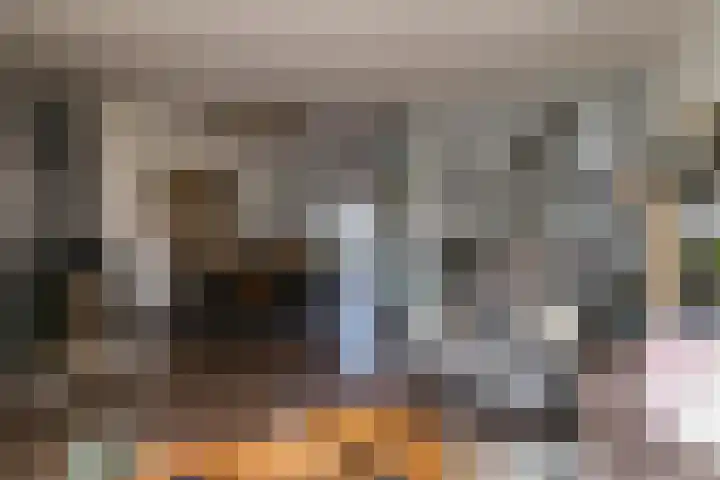 Walstro 70 Sneek thumbnail 7