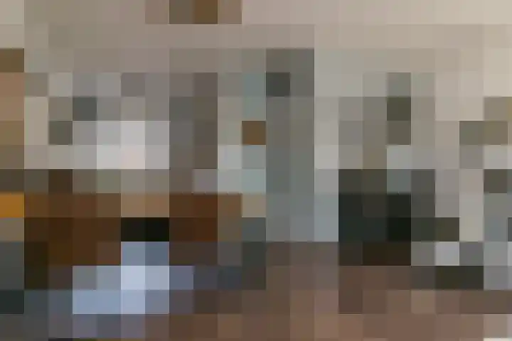 Walstro 70 Sneek thumbnail 8
