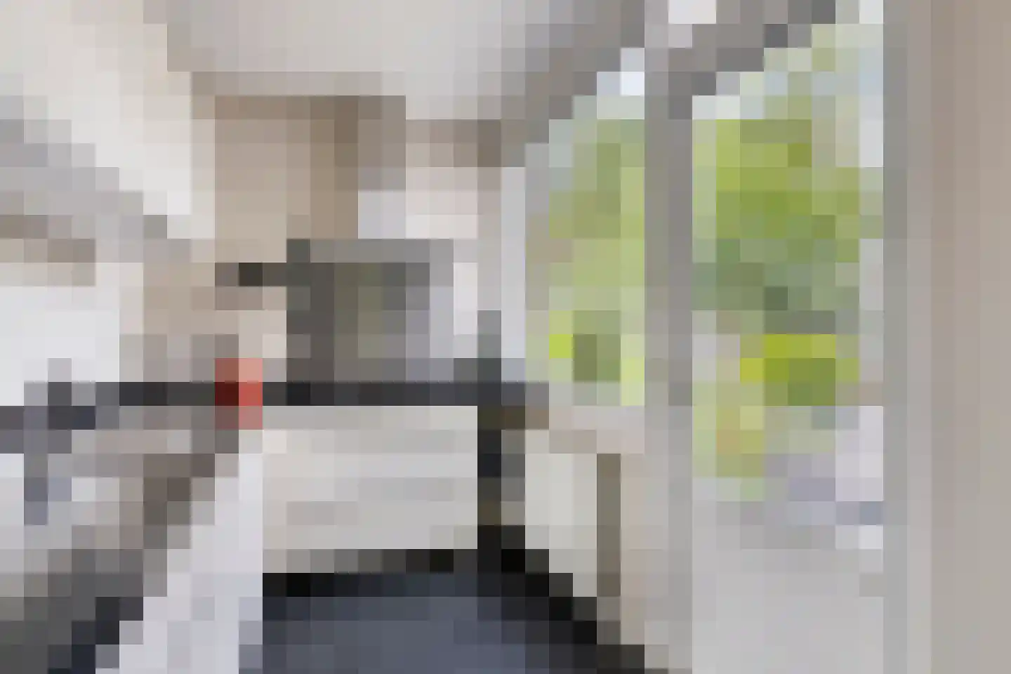Walstro 77 Leusden thumbnail 11