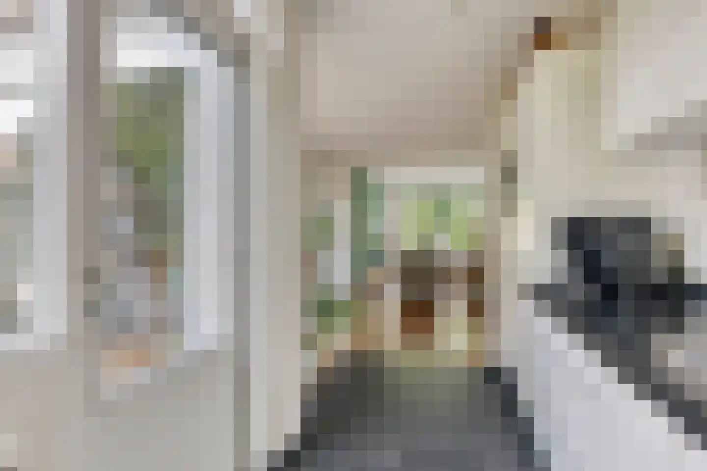 Walstro 77 Leusden thumbnail 12
