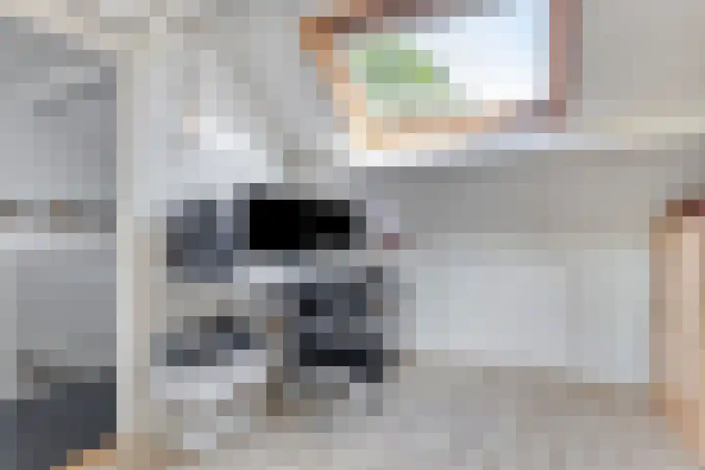 Walstro 77 Leusden thumbnail 25