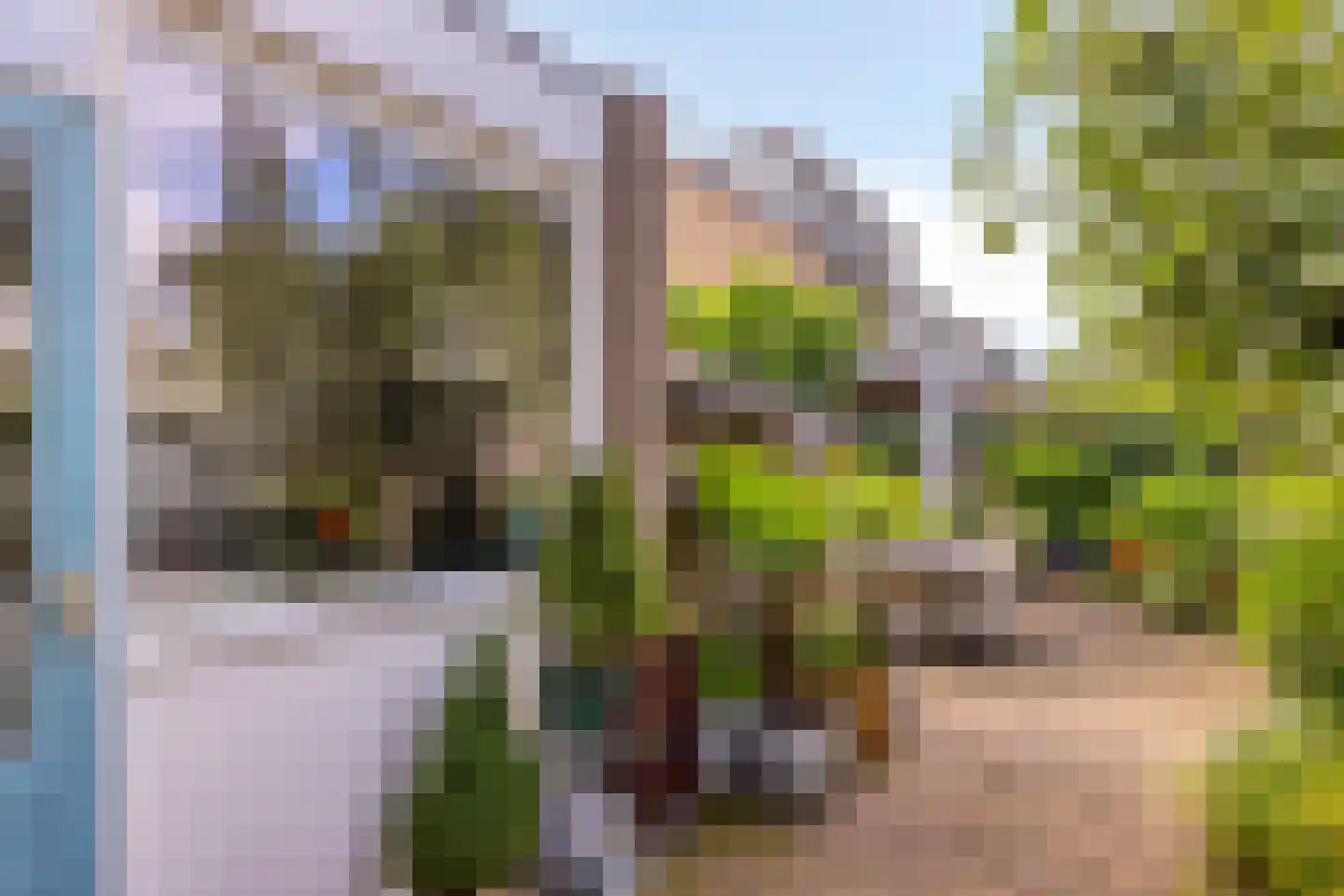 Walstro 77 Leusden thumbnail 28
