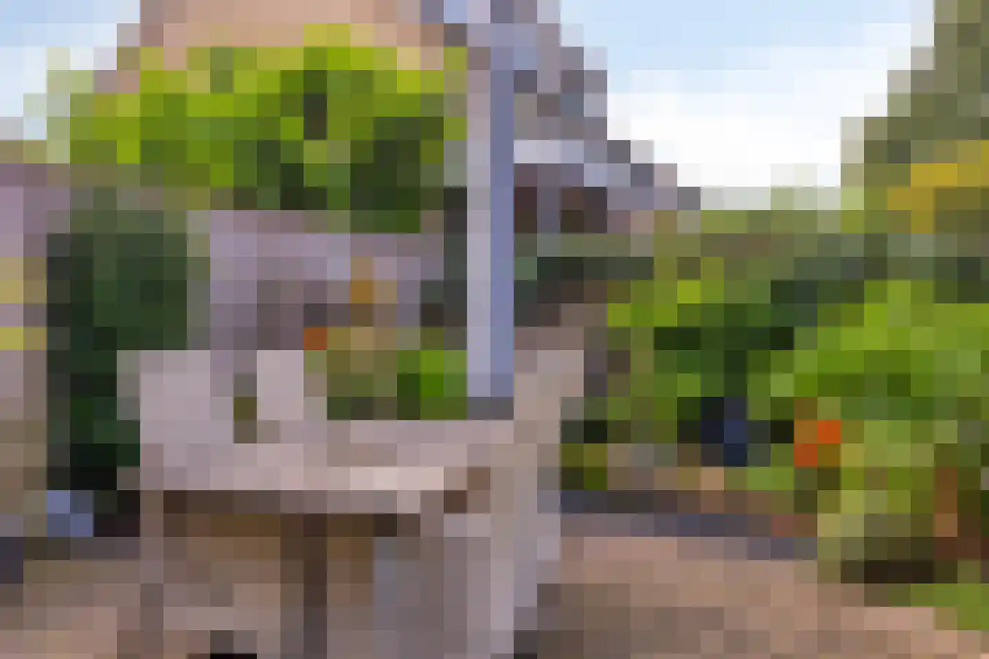 Walstro 77 Leusden thumbnail 29