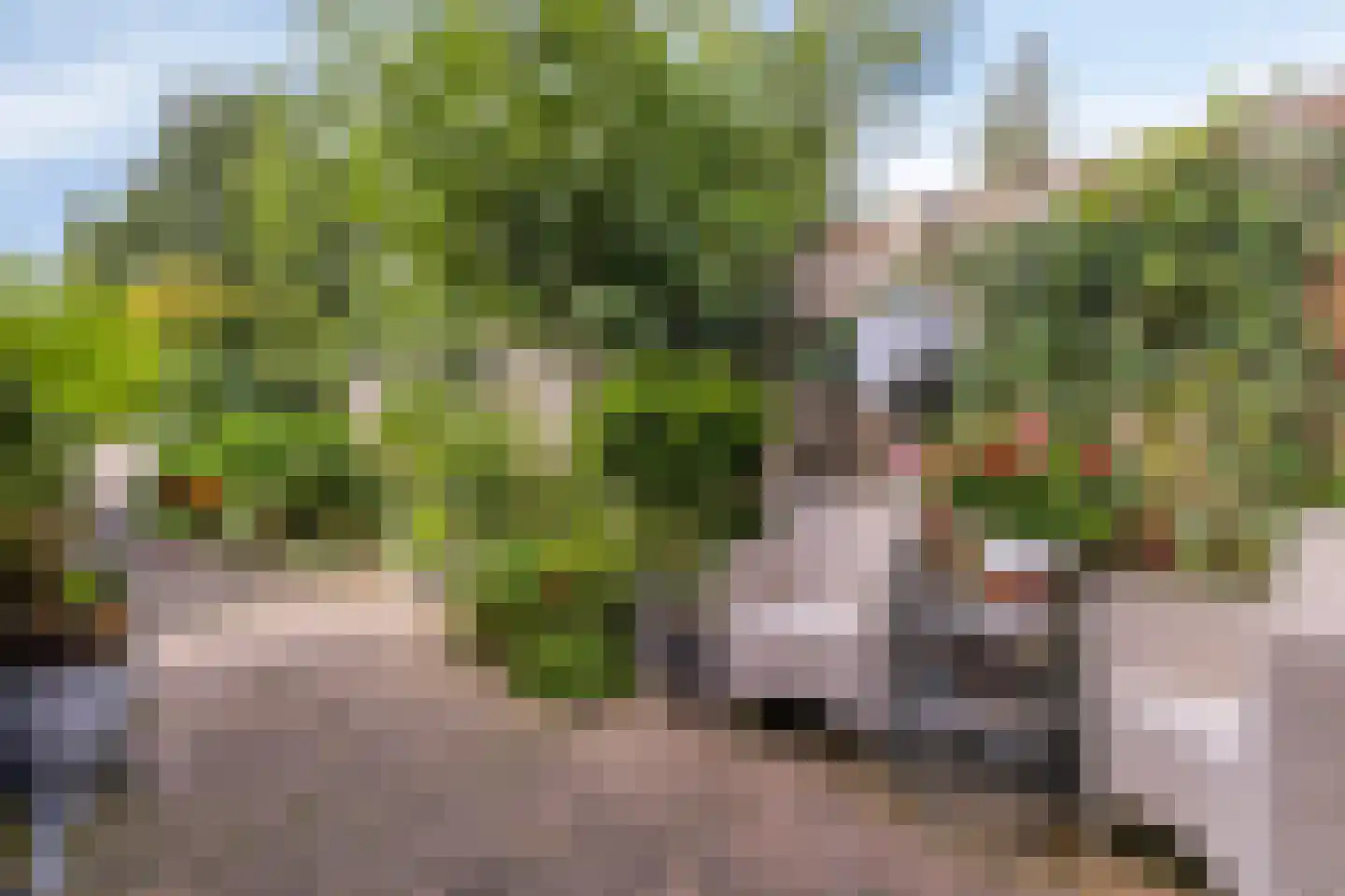 Walstro 77 Leusden thumbnail 30