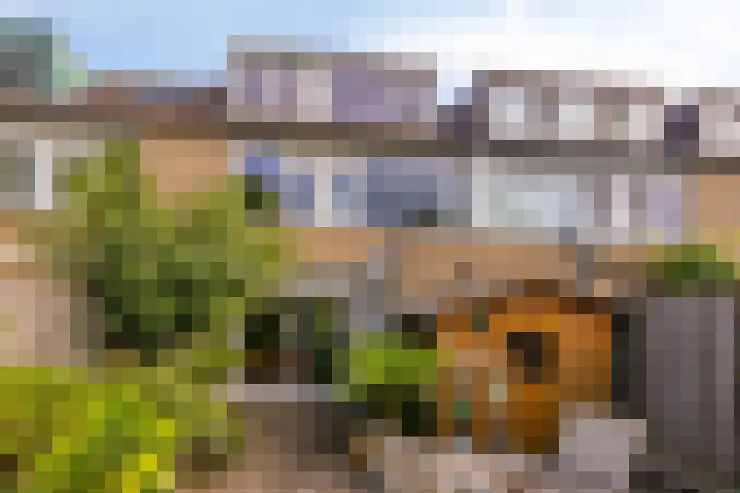 Walstro 77 Leusden thumbnail 32