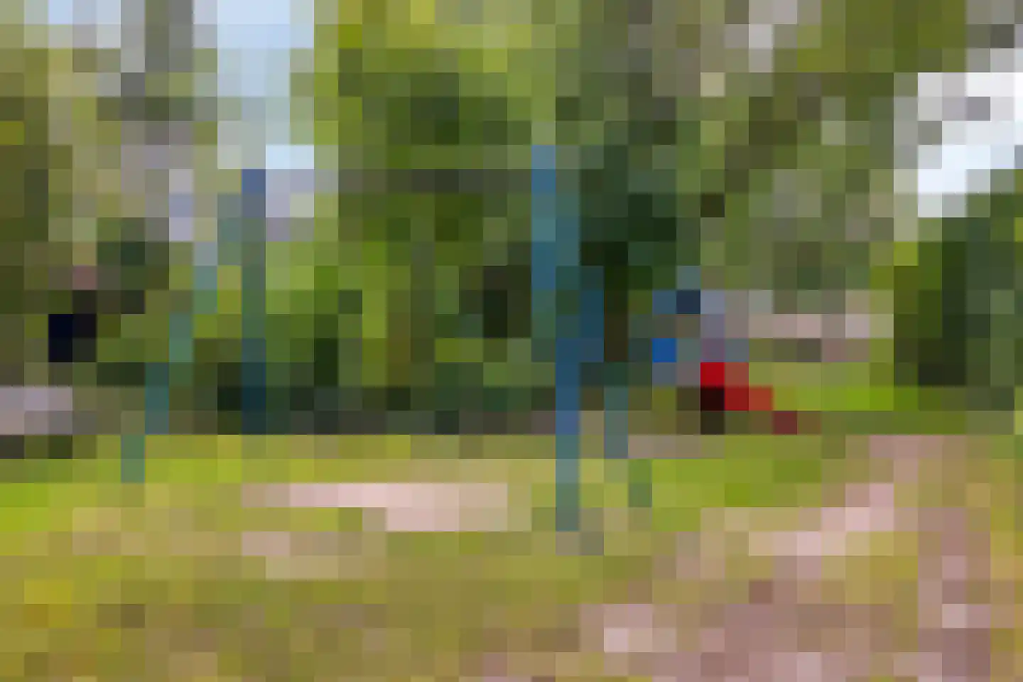 Walstro 77 Leusden thumbnail 35