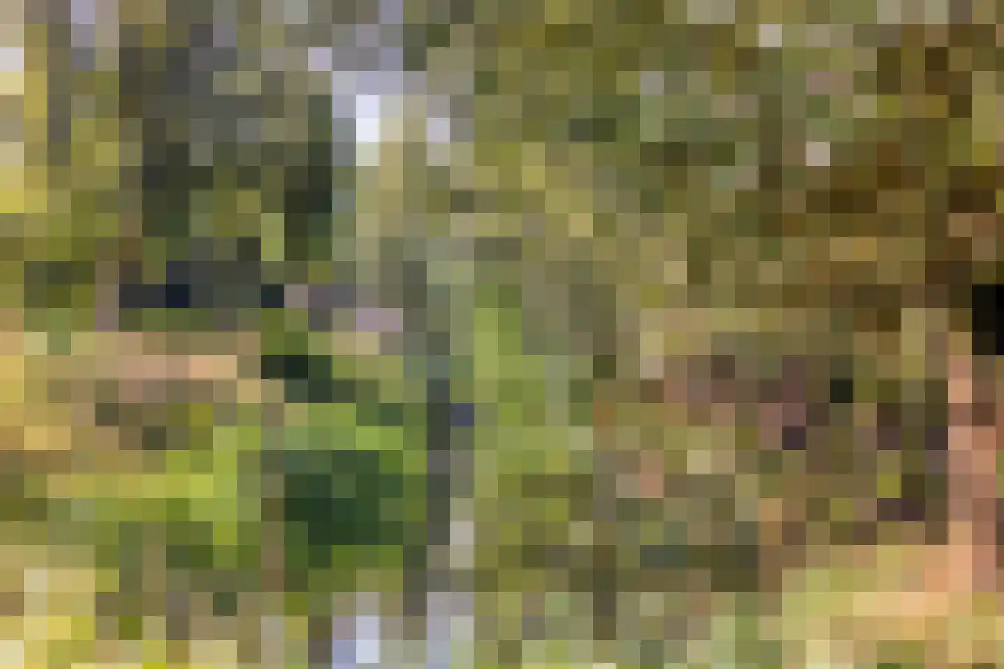 Walstro 77 Leusden thumbnail 37