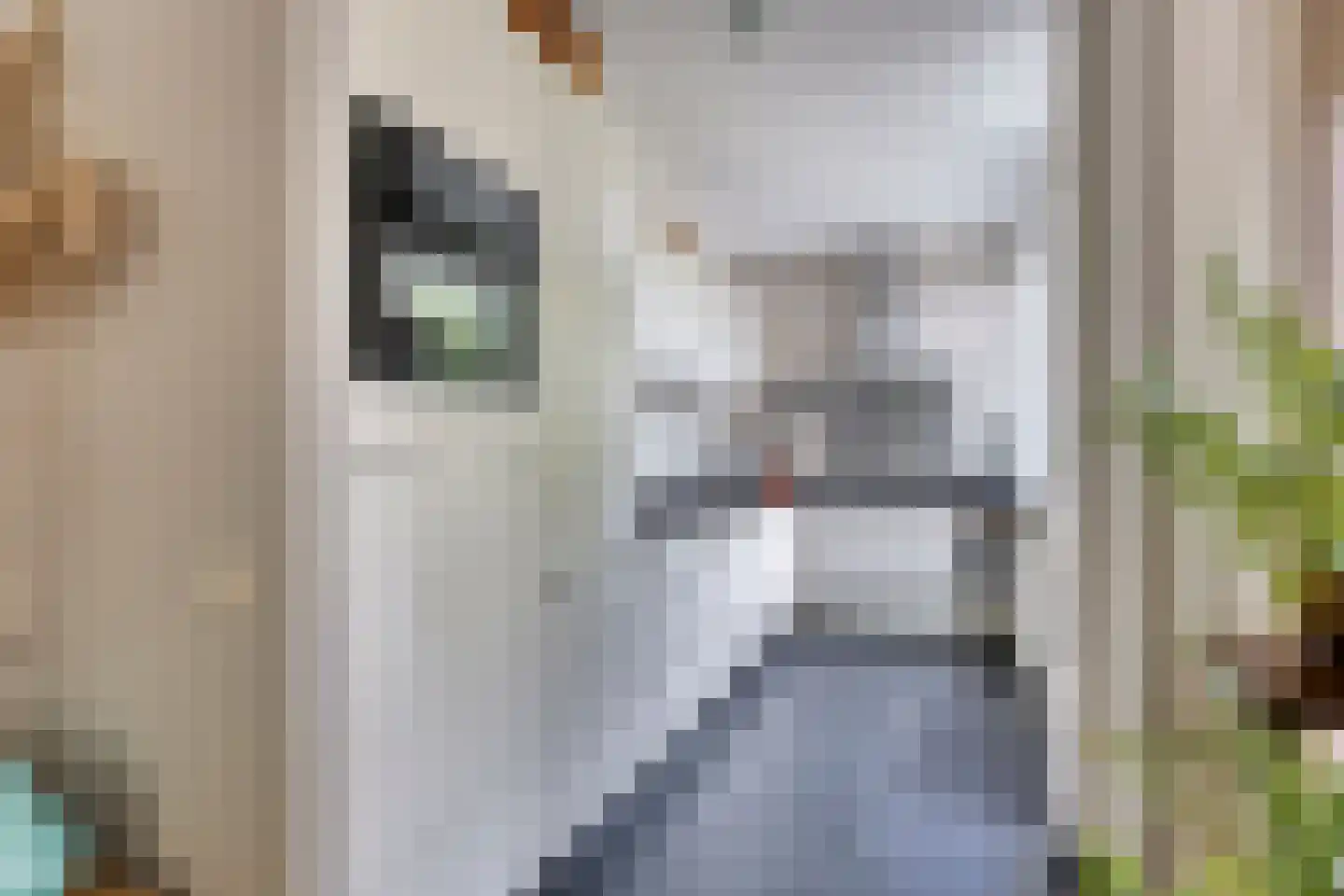 Walstro 77 Leusden thumbnail 5