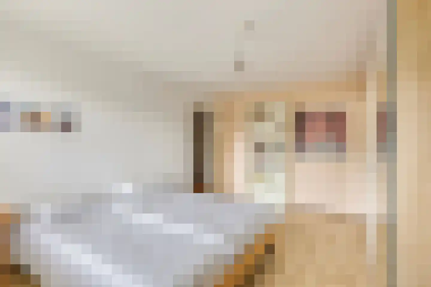 Walstrolaan 4 Scherpenzeel thumbnail 13
