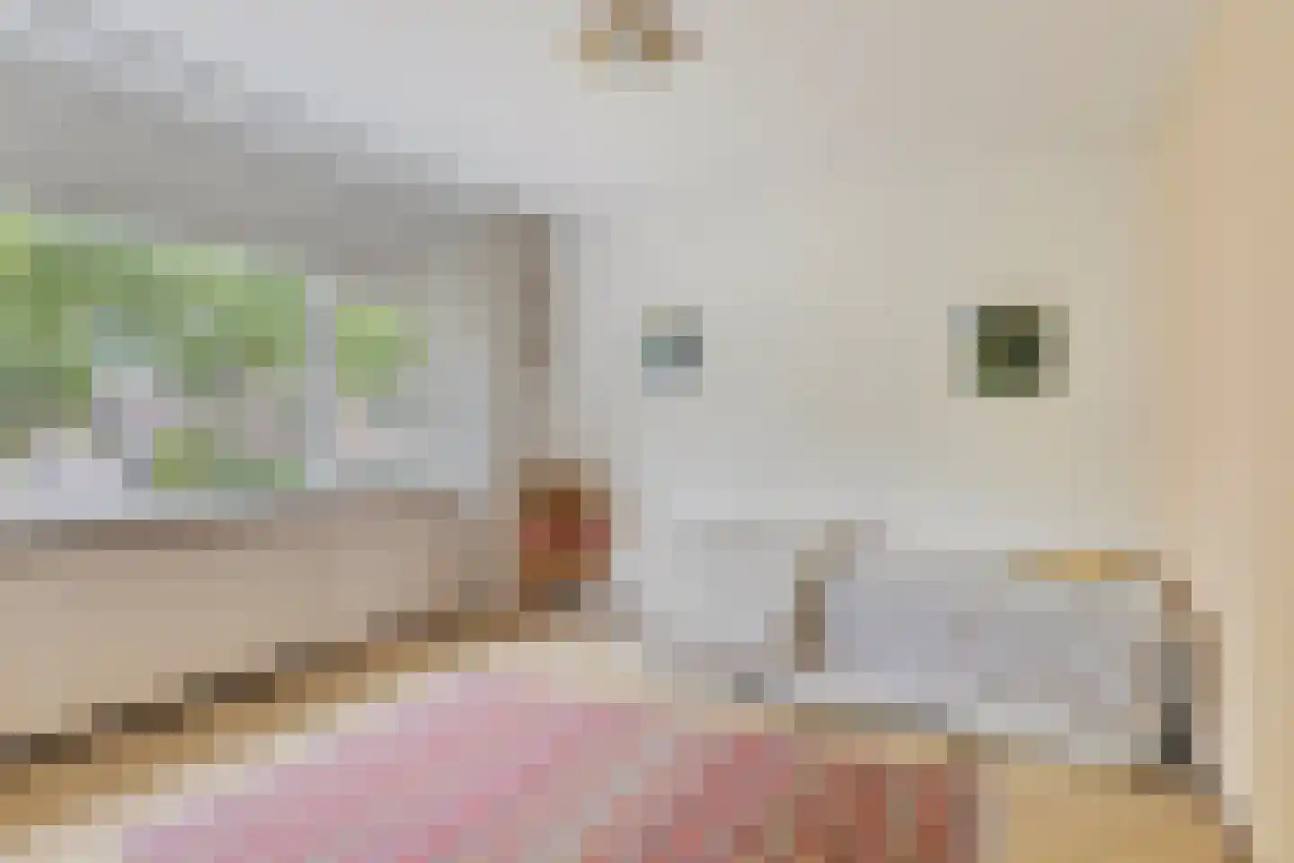 Walstrolaan 4 Scherpenzeel thumbnail 15
