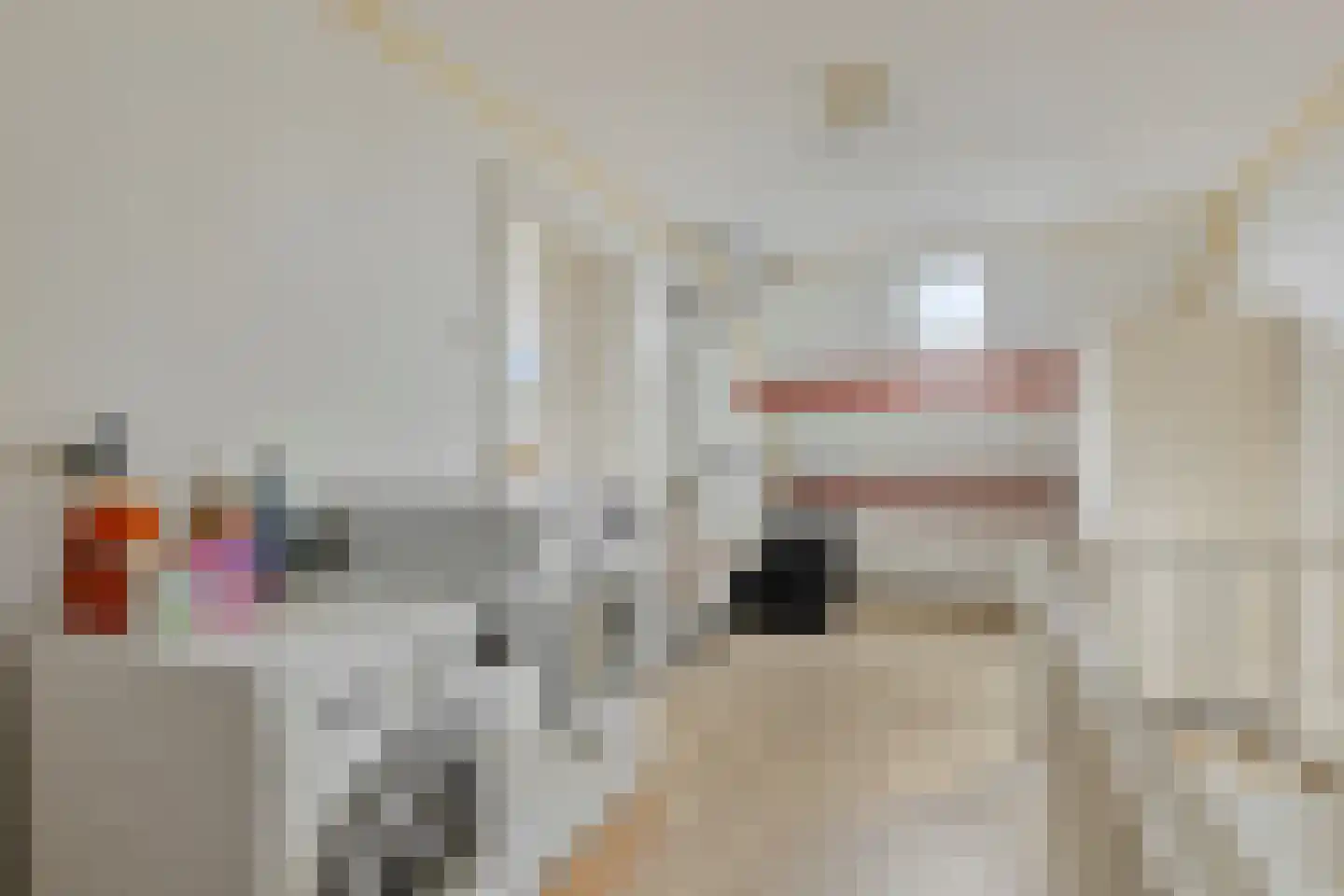 Walstrolaan 4 Scherpenzeel thumbnail 19