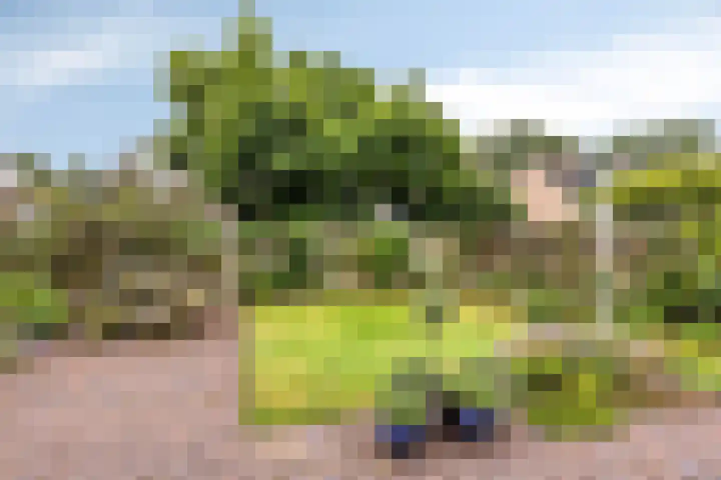 Walstrolaan 4 Scherpenzeel thumbnail 23