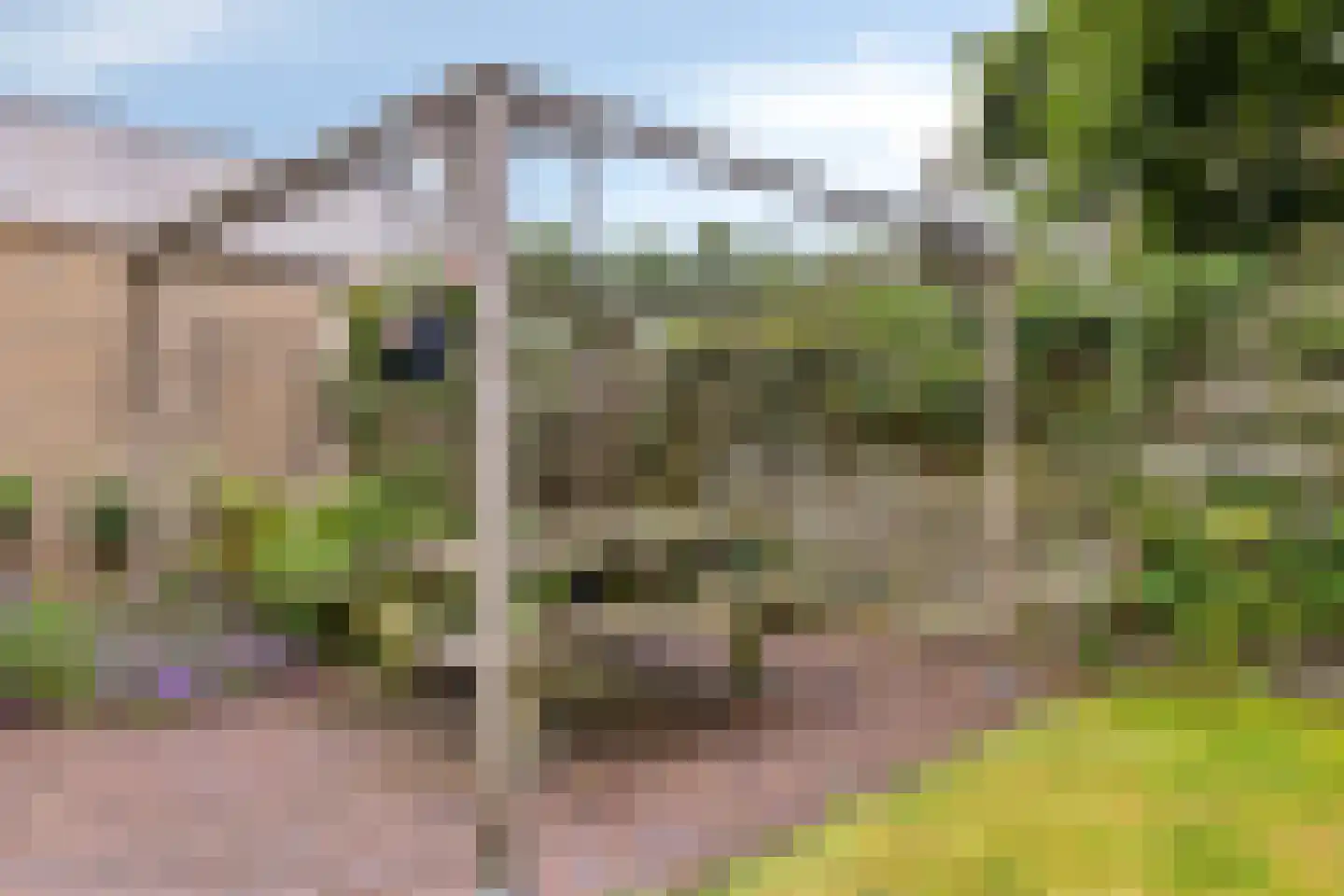 Walstrolaan 4 Scherpenzeel thumbnail 24