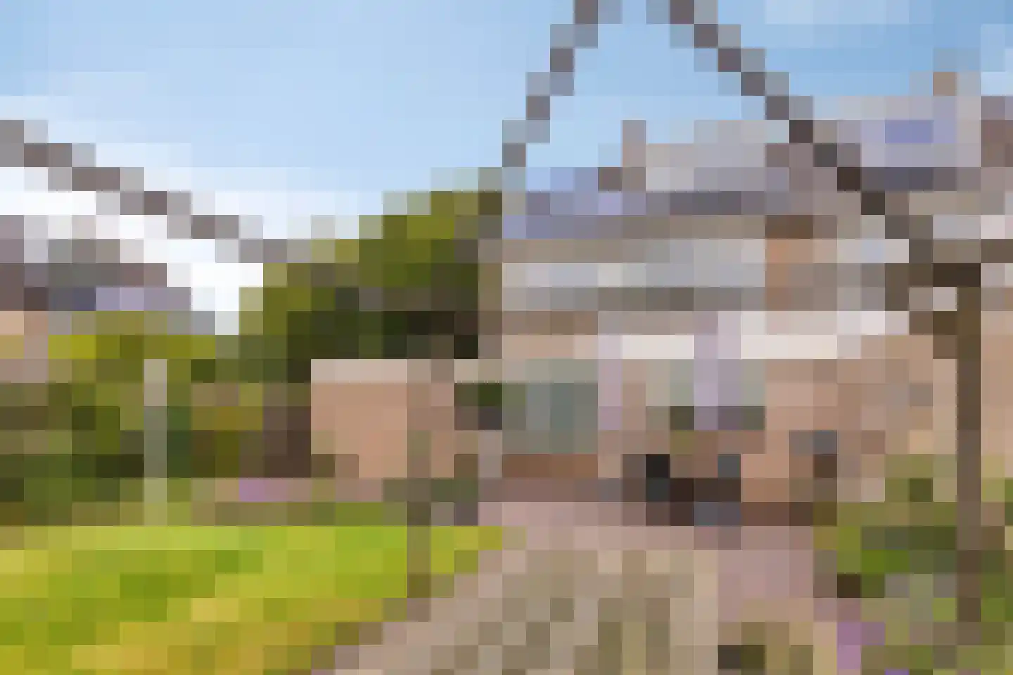 Walstrolaan 4 Scherpenzeel thumbnail 25