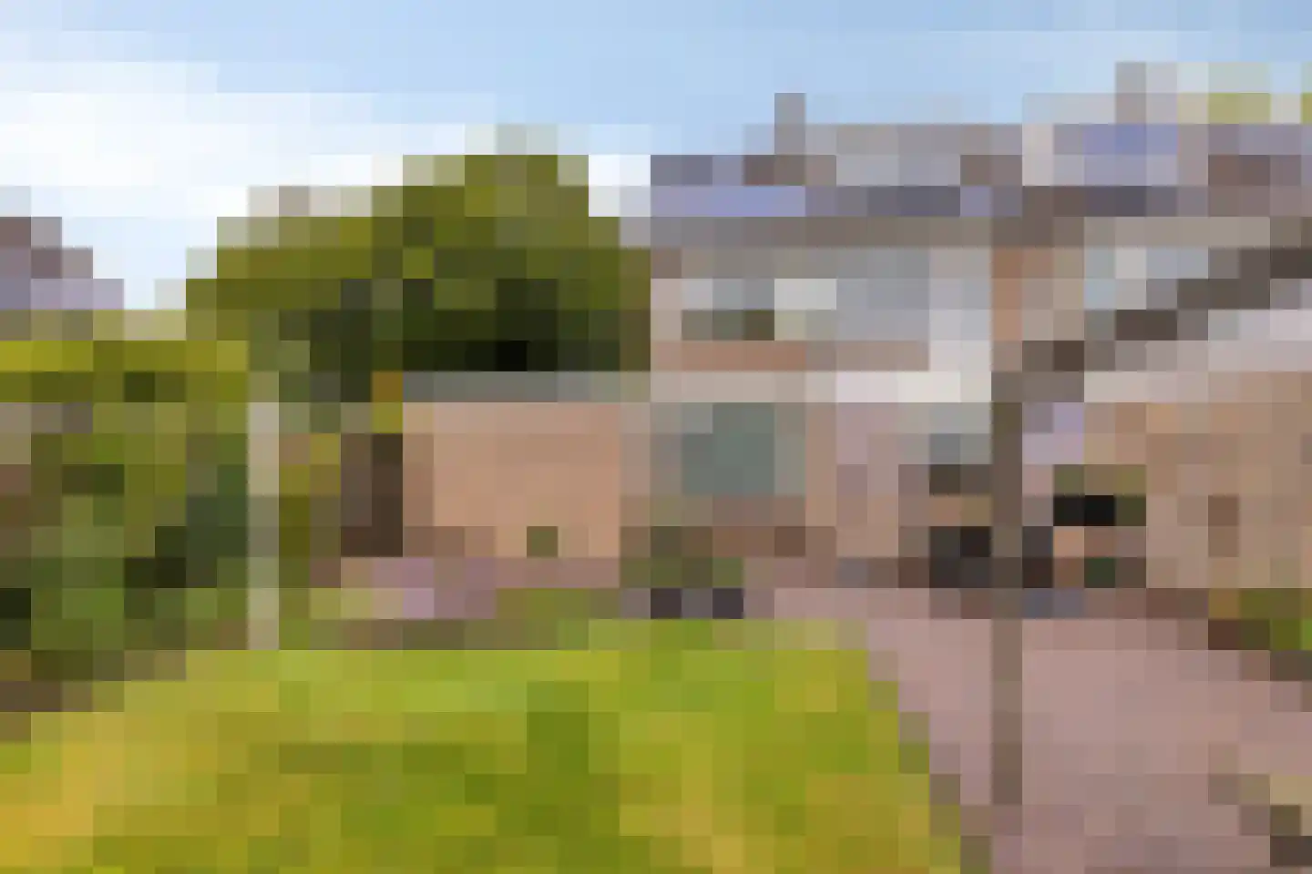 Walstrolaan 4 Scherpenzeel thumbnail 26