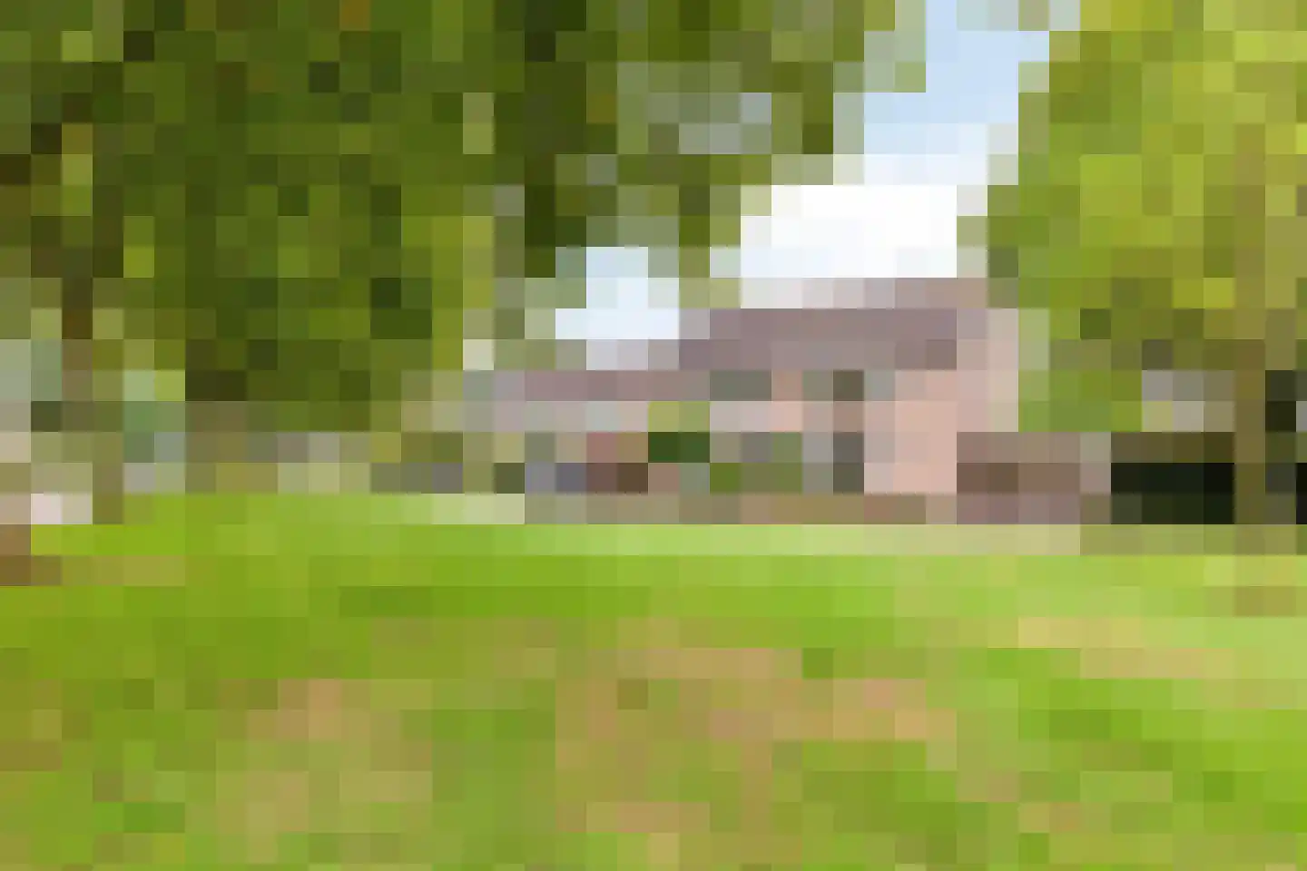 Walstrolaan 4 Scherpenzeel thumbnail 30