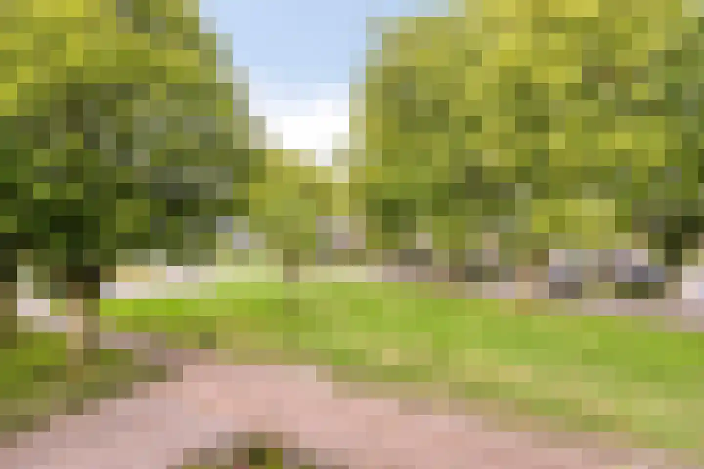 Walstrolaan 4 Scherpenzeel thumbnail 32