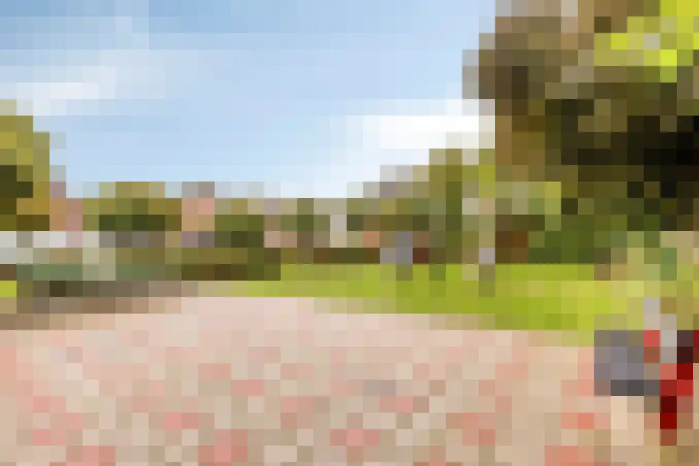 Walstrolaan 4 Scherpenzeel thumbnail 33