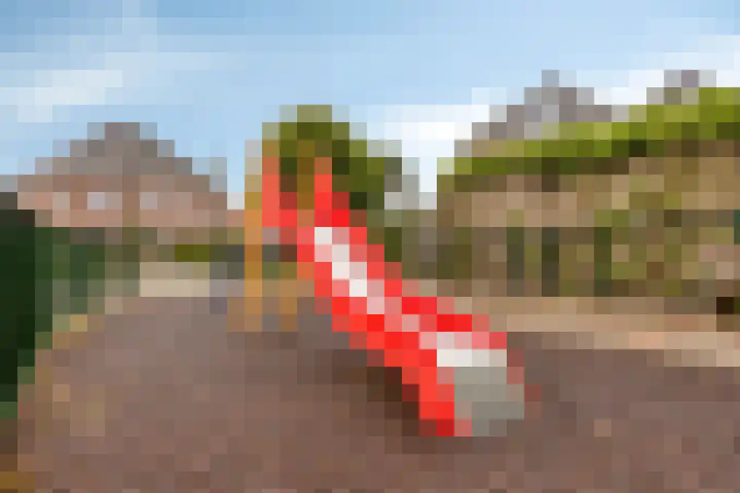 Walstrolaan 4 Scherpenzeel thumbnail 34