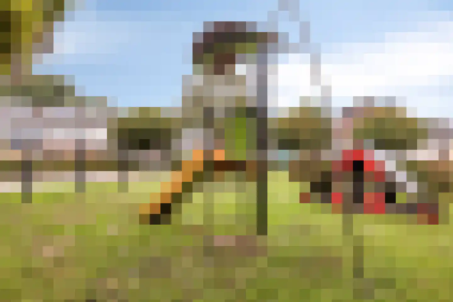 Walstrolaan 4 Scherpenzeel thumbnail 35