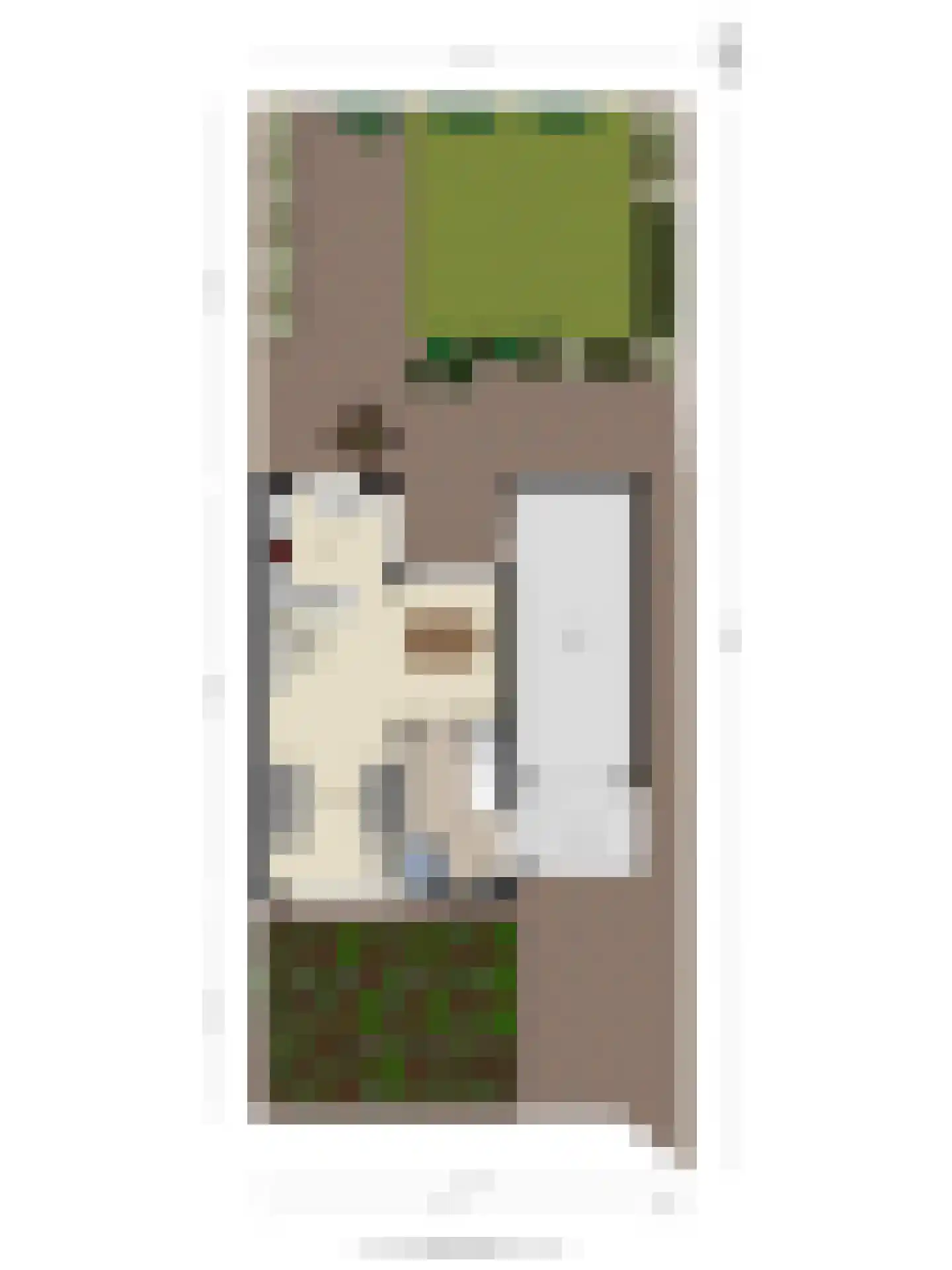 Walstrolaan 4 Scherpenzeel thumbnail 39