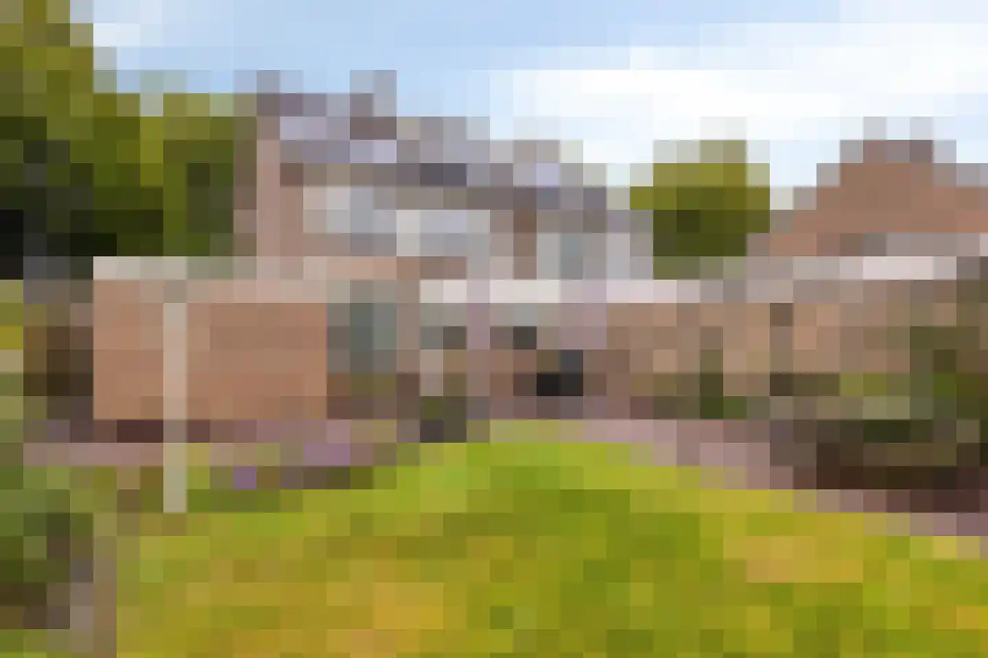 Walstrolaan 4 Scherpenzeel thumbnail 4