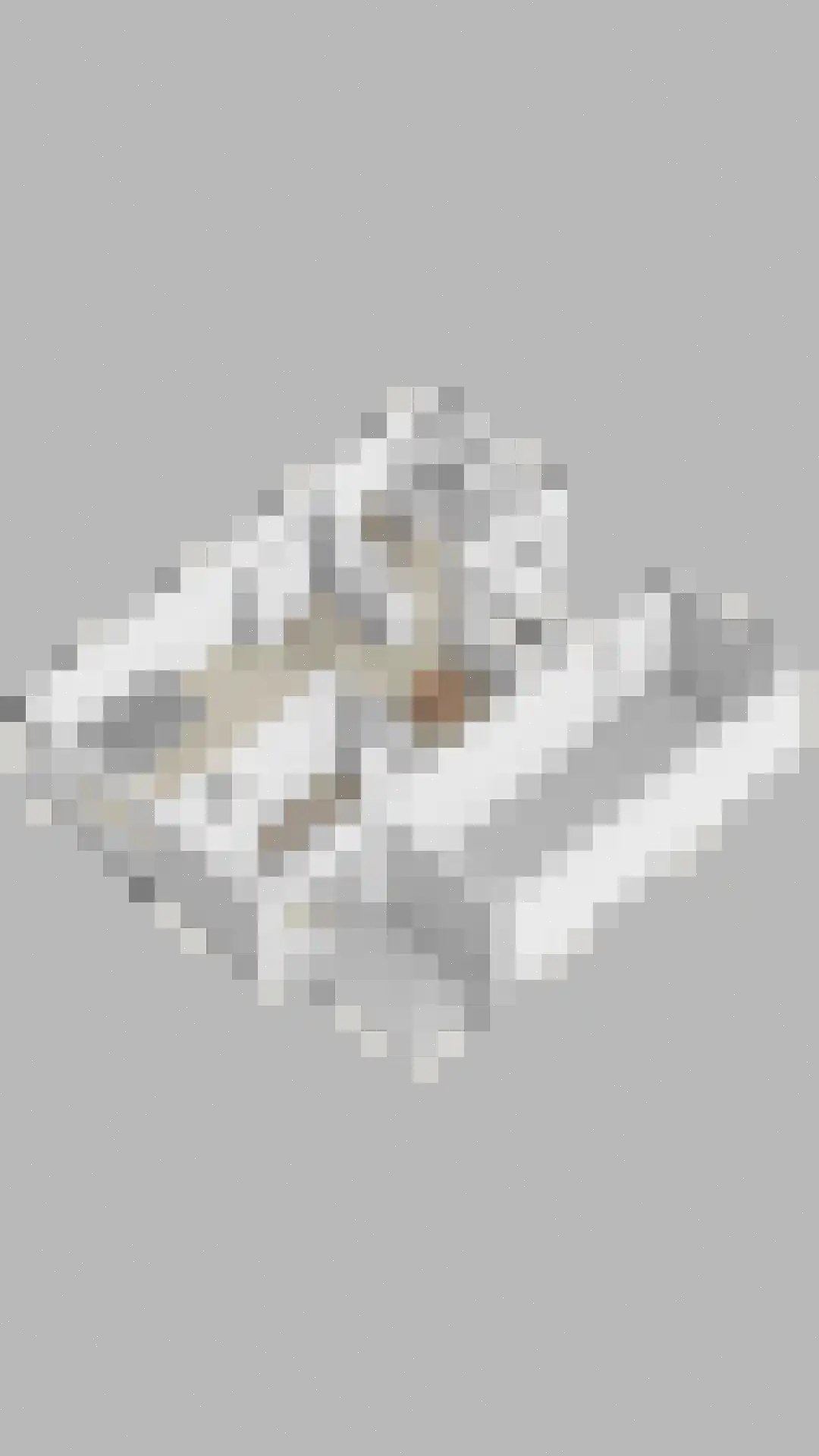 Walstrolaan 4 Scherpenzeel thumbnail 40