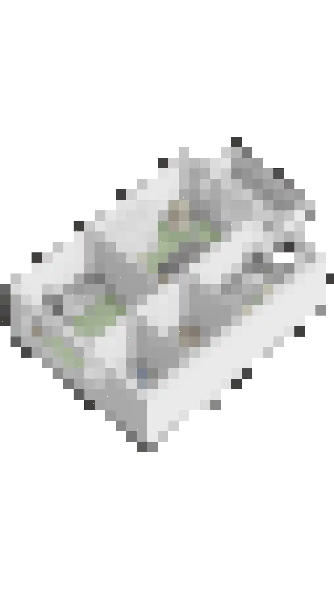 Walstrolaan 4 Scherpenzeel thumbnail 41