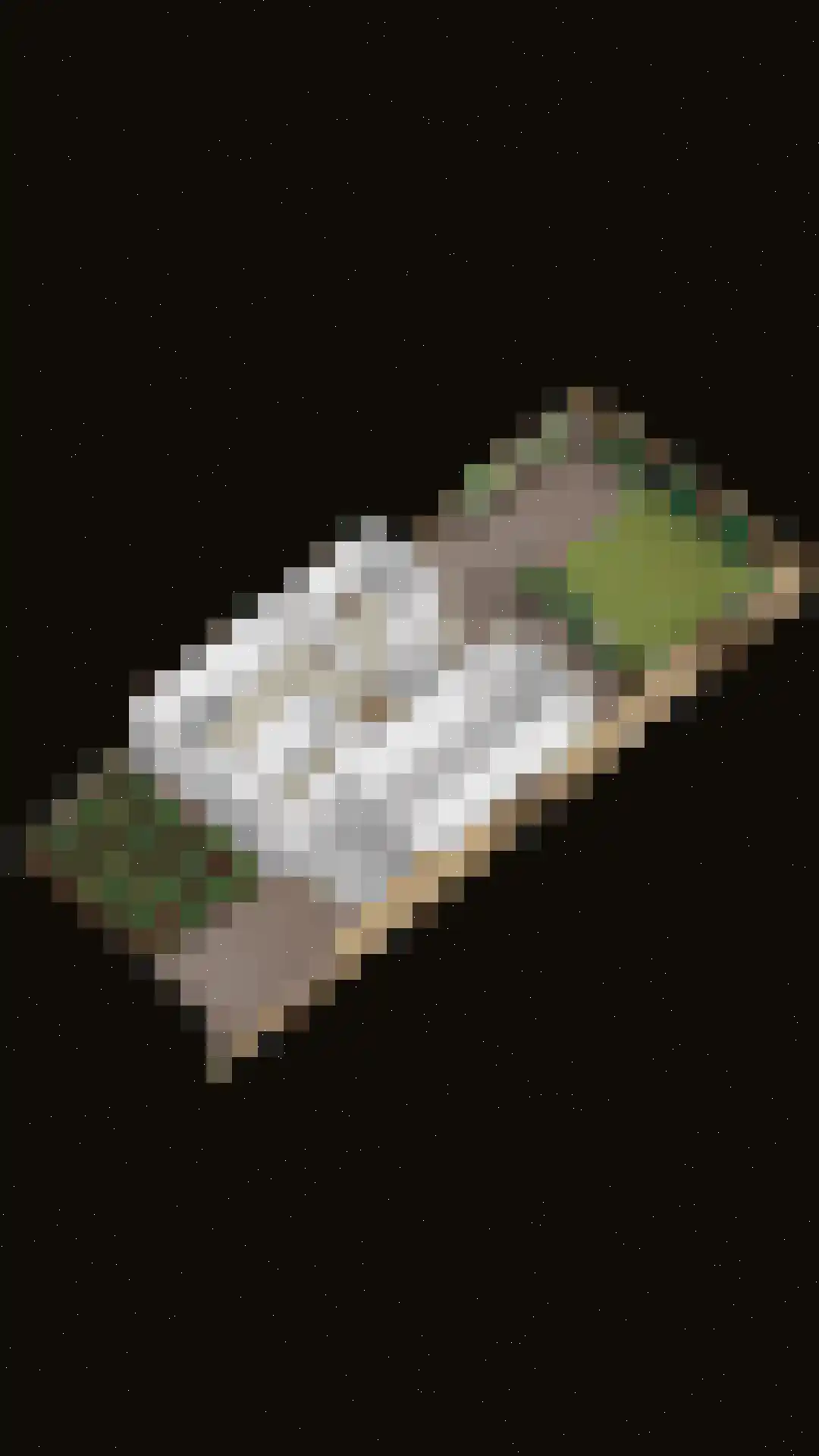 Walstrolaan 4 Scherpenzeel thumbnail 43