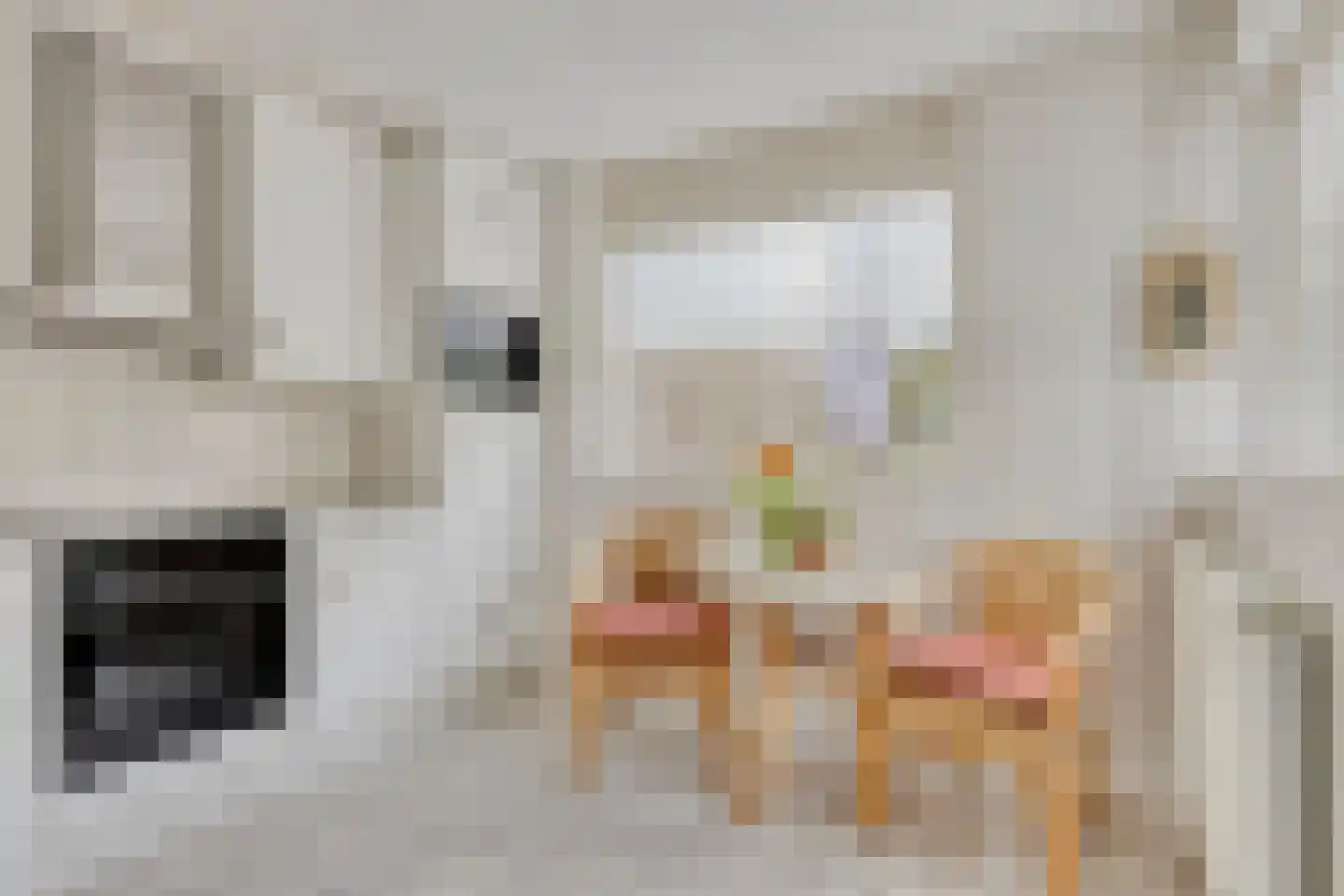 Walstrolaan 4 Scherpenzeel thumbnail 8