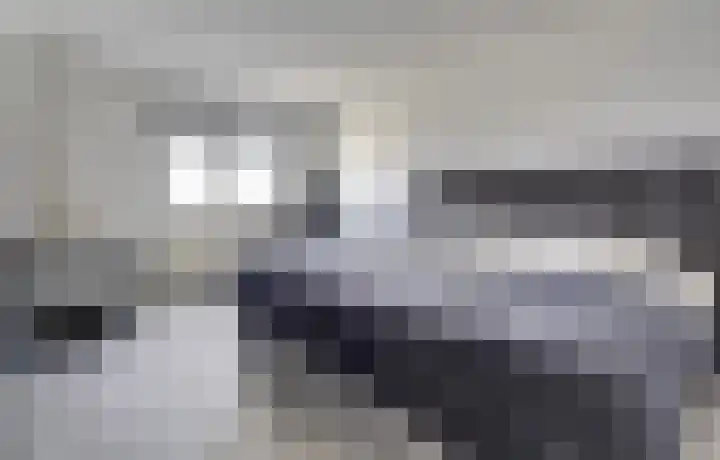Walstroodonk 15 Spijkenisse thumbnail 12