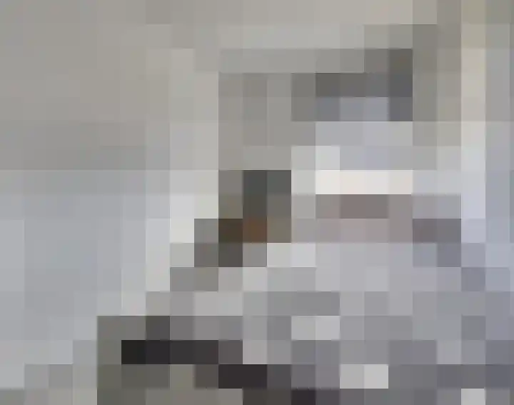 Walstroodonk 15 Spijkenisse thumbnail 13