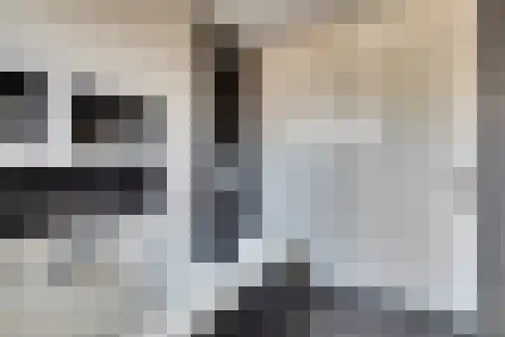 Walstroodonk 15 Spijkenisse thumbnail 16