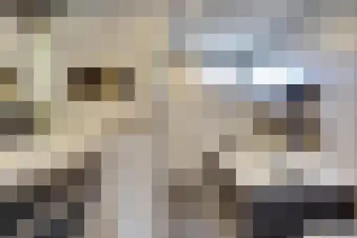 Walstroodonk 15 Spijkenisse thumbnail 17