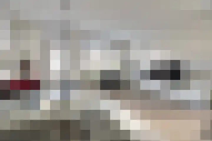 Walstroodonk 15 Spijkenisse thumbnail 4