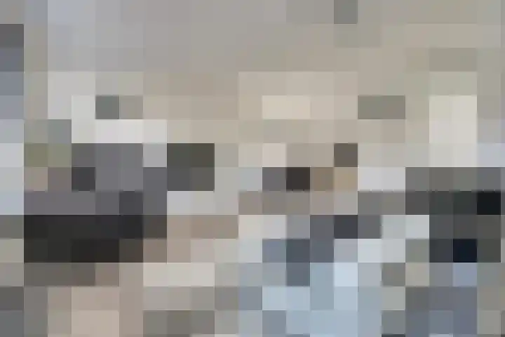 Walstroodonk 15 Spijkenisse thumbnail 5