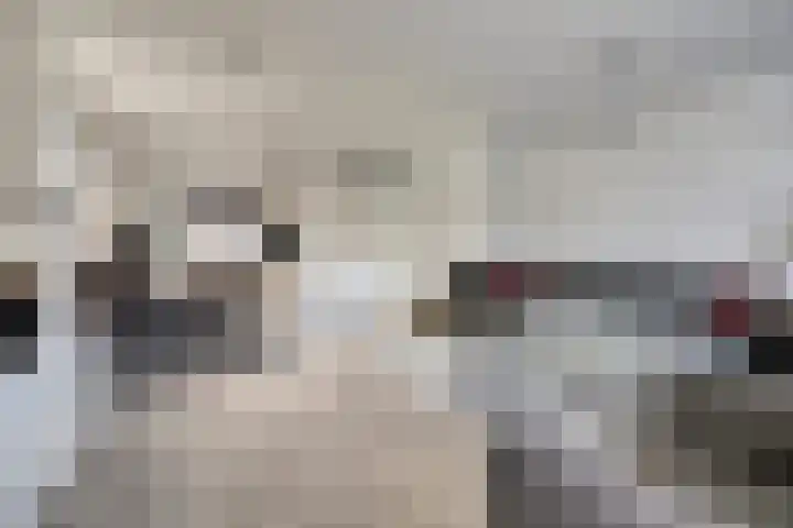 Walstroodonk 15 Spijkenisse thumbnail 6
