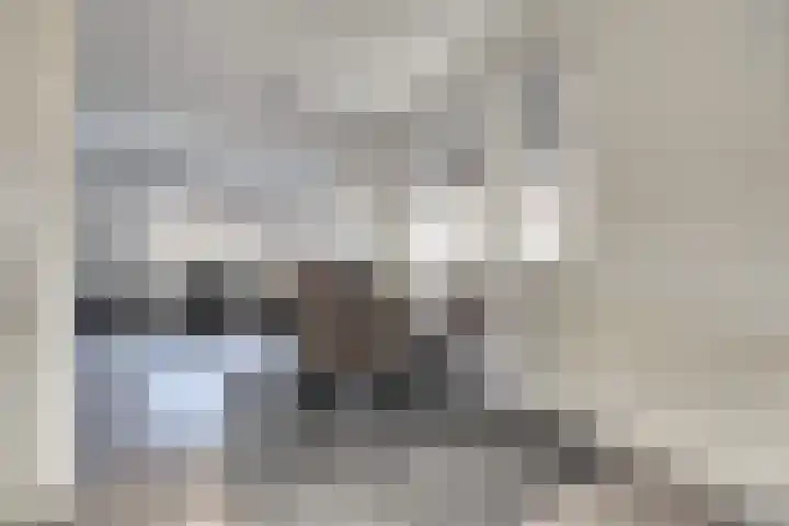 Walstroodonk 15 Spijkenisse thumbnail 7