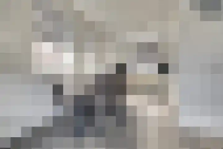 Walstroodonk 15 Spijkenisse thumbnail 8