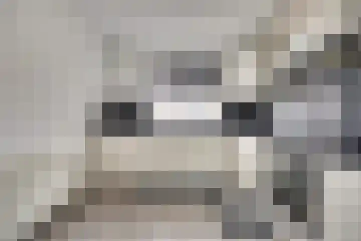 Walstroodonk 15 Spijkenisse thumbnail 9